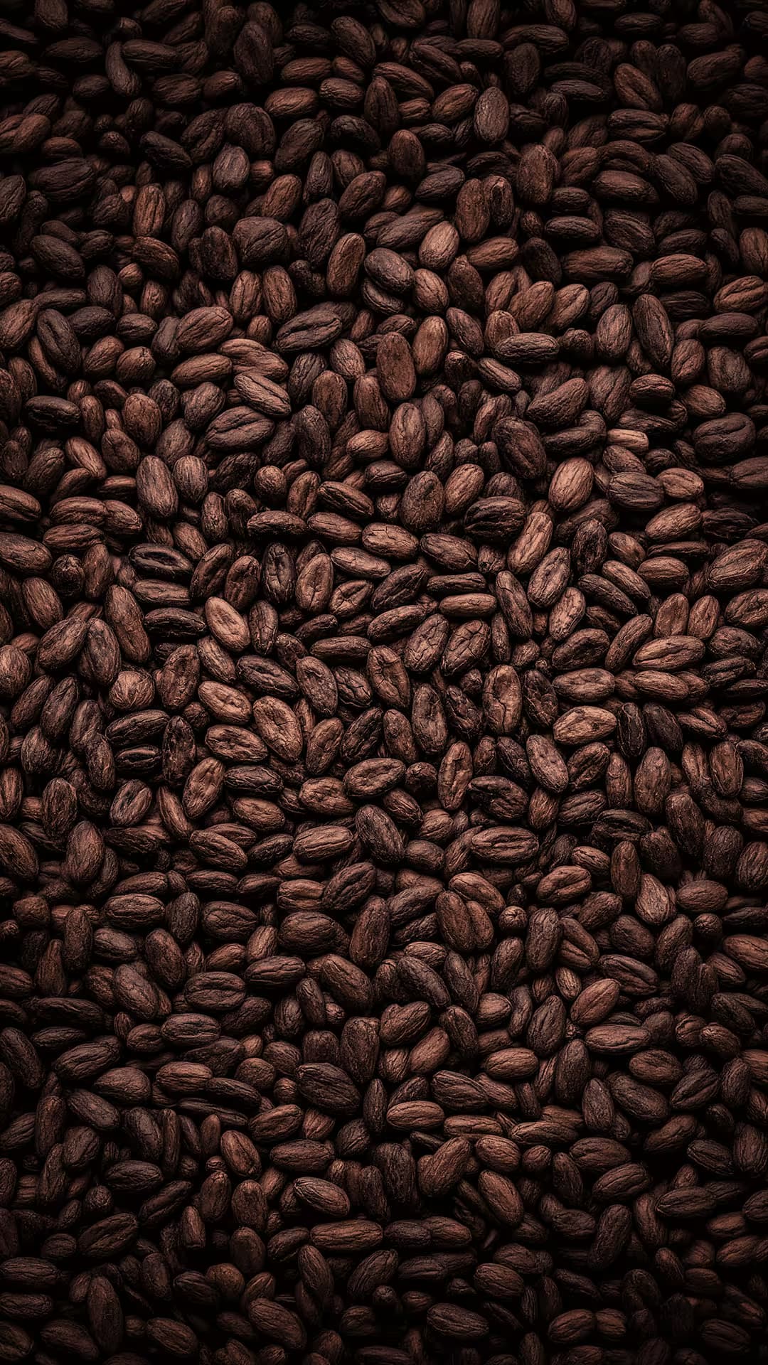 Cocoa beans background mobile